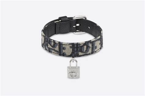 dior the dog|expensive dog collar.